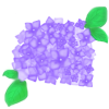 紫陽花2