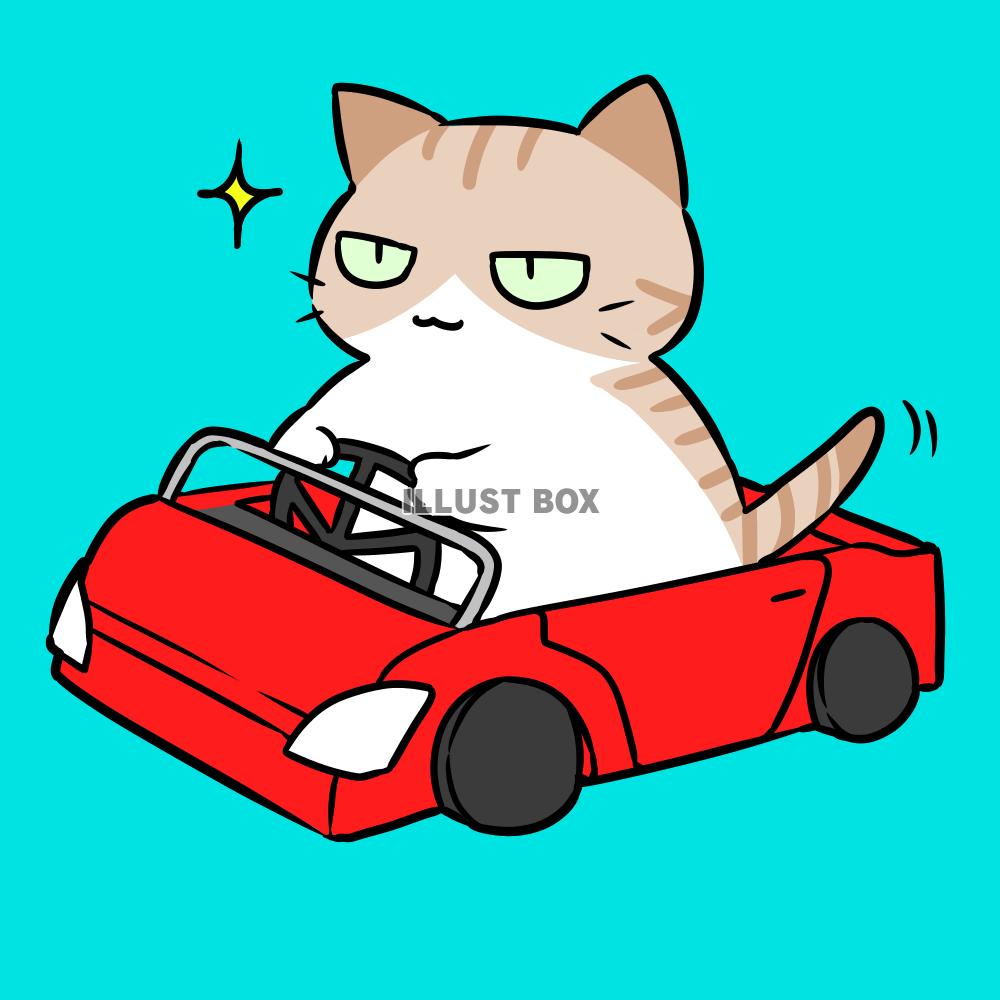 車を運転する猫（背景あり）