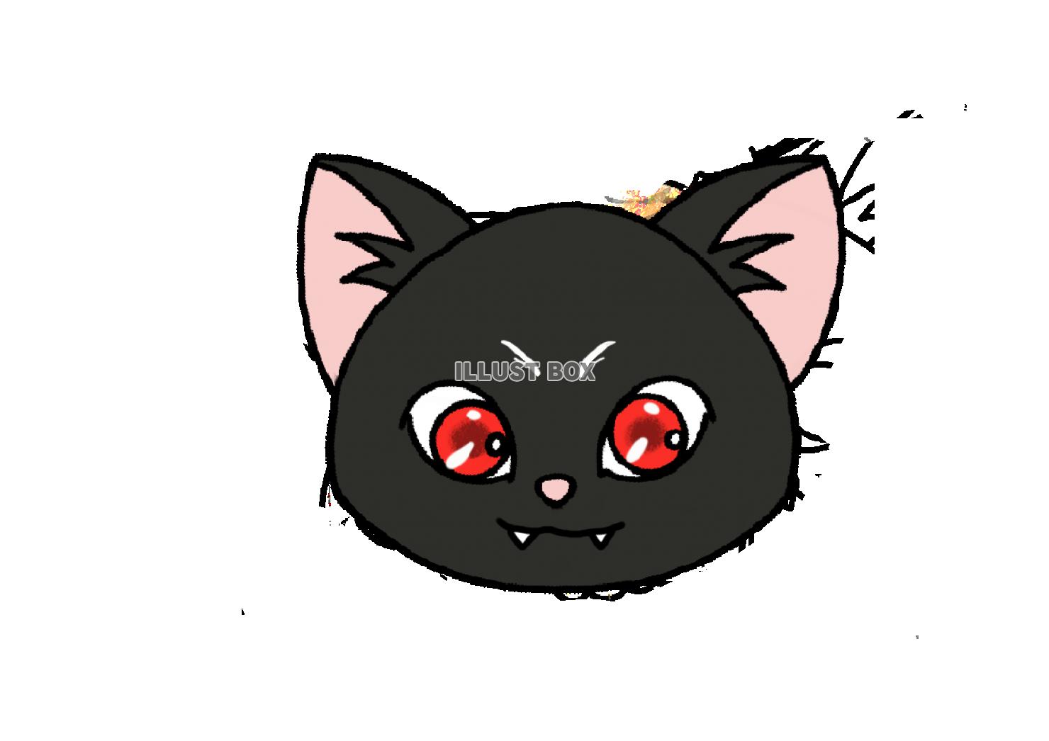 猫アイコン　うちの子　黒猫