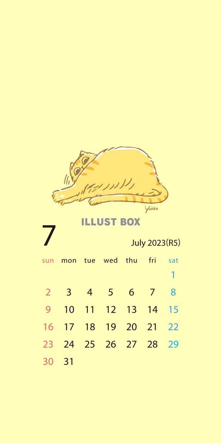ぽっちゃり猫のスマホ壁紙カレンダー2023年7月