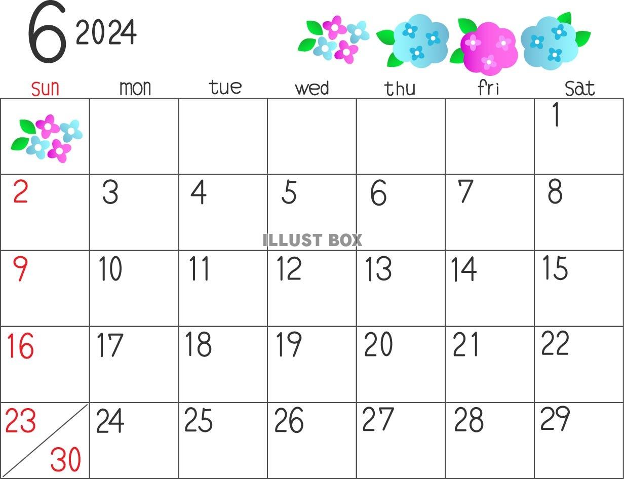 2024年6月のカレンダー素材、アジサイの花のいイラスト付き
