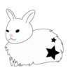 Starabbit