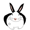 rabbitmimi