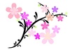 イラスト　桜の枝