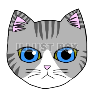 無料イラスト 猫 サバトラ