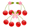 さくらんぼと桜の花のイラスト