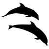 【シルエット】イルカの競争