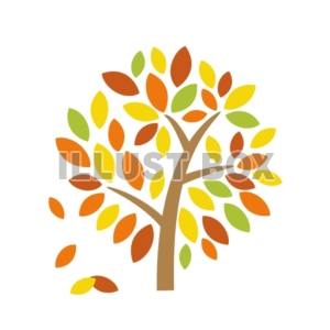 無料イラスト 秋の木