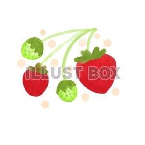 苺とつぼみ