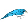 青い鳥①