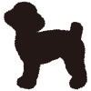 【シルエット】動物シリーズ　犬　トイプードル02