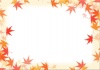 【フレーム　枠】　秋の植物シリーズ　もみじ02