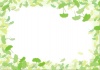 【フレーム　枠】　春の植物シリーズ　銀杏の若葉02