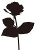 【シルエット】植物シリーズ　花　05　薔薇