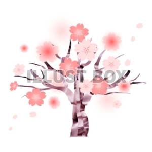 イラスト素材 桜 イラスト無料