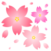 桜の花たち【透過PNG】【EPS】