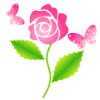 ピンクの薔薇と蝶々【透過PNG】【EPS】