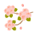 八重桜の枝　透過PNG