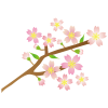 桜の枝イラスト【透過PNG】