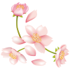 【透過PNGイラスト】　桜の花03
