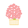 ひな祭り～桃の花