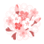 桜の花束　透過PNG