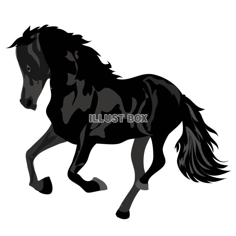 無料イラスト 黒い馬のイラスト