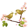 【透過PNGイラスト】　桜の花とウグイス（鶯）03