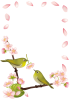 【枠・フレーム素材　透過PNG】　桜の花とメジロ（目白）　01