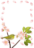 【枠・フレーム素材　透過PNG】　桜の花とメジロ（目白）　03