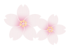 薄い色の桜の花