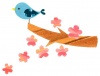 桜の木と青い鳥