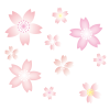 イラスト　桜の花【透過PNG】