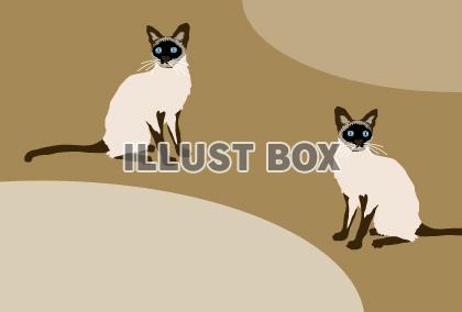 無料イラスト お洒落なシャム猫のメッセージカード