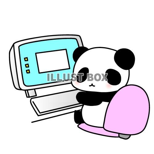無料イラスト パソコンを操作するパンダちゃんのイラスト