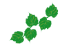 緑の蔦の葉の透過PNG