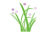 草花のカット透過PNG