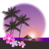 ヤシの木の夕方　透過ＰＮＧ