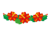 ハイビスカスの花のカット透過PNG