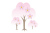 入学式に使えるピンクの桜の木のイラストPNG透過