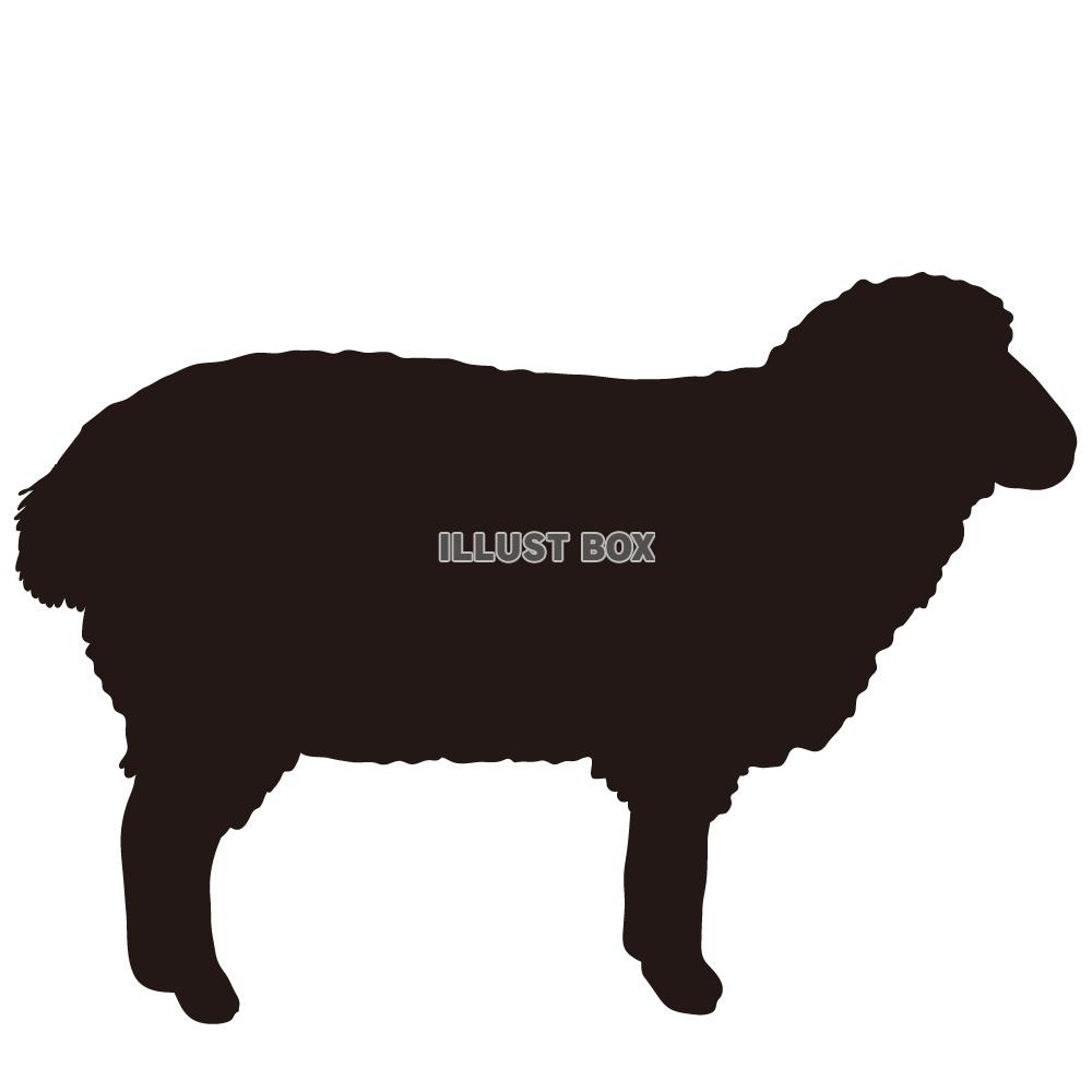 エレガント羊 イラスト シルエット 最高の動物画像
