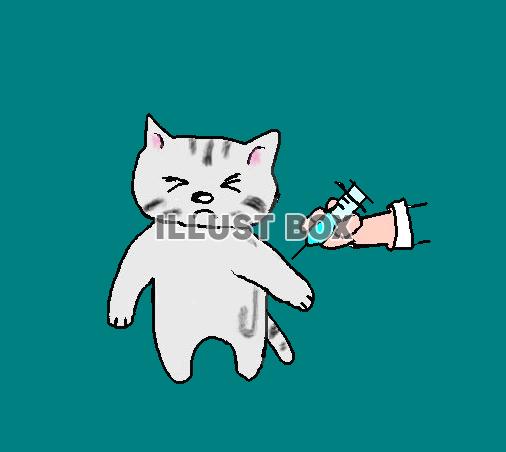 ねこまる・・注射は苦手【透過】PNG