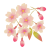 桜こんもり　透過PNG