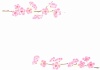 桜咲く手描きフレーム