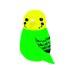 無料イラスト アイコンセキセイインコ