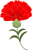 赤いカーネーション　透過png