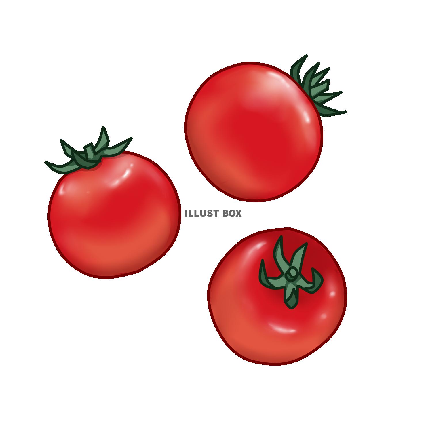 無料ダウンロード手書き かわいい トマト イラスト スーパーイラストコレクション