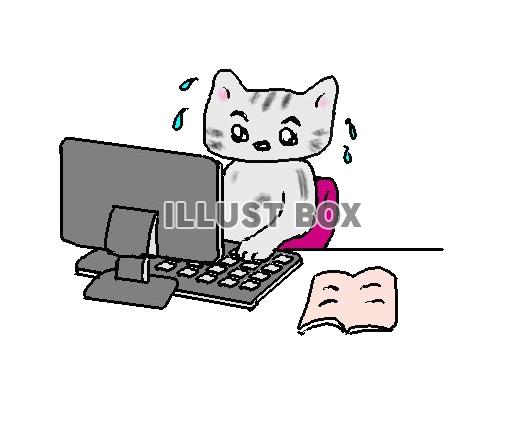 ねこまる・・・パソコンを使う【透過】PNG