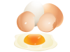 割れた卵（png・CS4eps）