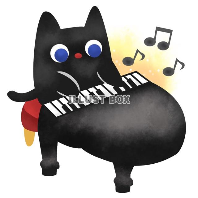 ピアノを弾く黒猫：イラスト無料